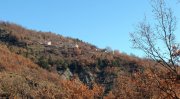 Οξυά