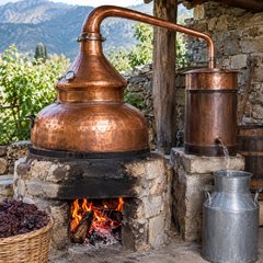 ΛΕΙΤΟΥΡΓΙΑ ΑΜΒΥΚΩΝ ΜΙΚΡΩΝ ΑΠΟΣΤΑΓΜΑΤΟΠΟΙΩΝ (ΔΙΗΜΕΡΩΝ)