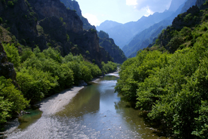 Δραστηριοότητες