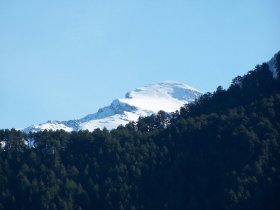 Μόλιστα 