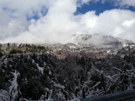 Αμάραντος 