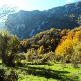 Μολυβδοσκέπαστο 