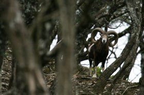 Περιβαλλοντικό Πάρκο «Μπουραζάνι»