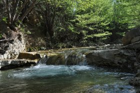 Γέφυρα Τοπόλιτσας