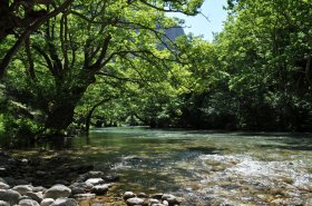 Φαράγγι Βοϊδομάτη