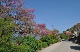 Αετόπετρα 