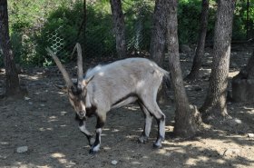 Καταφύγια Άγριας Ζωής