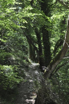 Φαράγγι Βοϊδομάτη