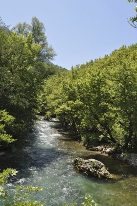 Φαράγγι Βοϊδομάτη