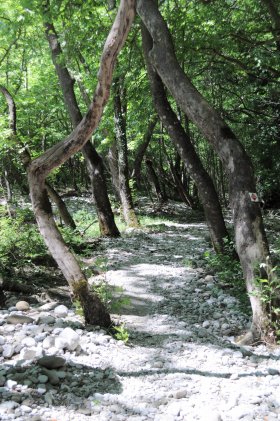 Φαράγγι Βοϊδομάτη