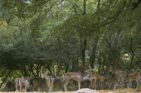 Περιβαλλοντικό Πάρκο «Μπουραζάνι»