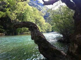 Φαράγγι Βοϊδομάτη