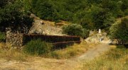 Γοργοπόταμος