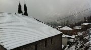 Αμάραντος