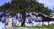 Φούρκα