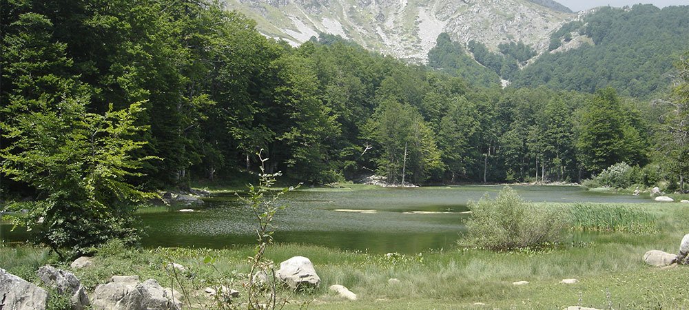 Αετομηλίτσα