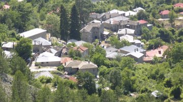 Μόλιστα
