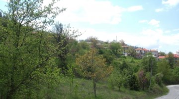 Μοναστήρι