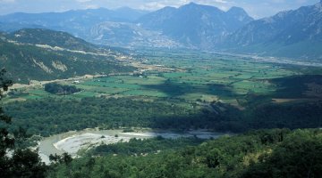 Παραποτάμιο δάσος Αώου – Βοϊδομάτη